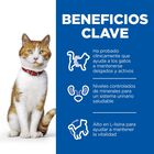 Hill's Science Plan Sterilised Young Adult Pato pienso para gatos, , large image number null